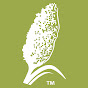 Sorghum. Nature's Super Grain. logo