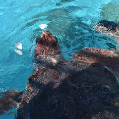 けい studyアイコン画像