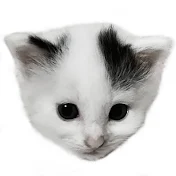 こねこオフショットチャンネル