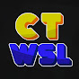 cat weasel logo