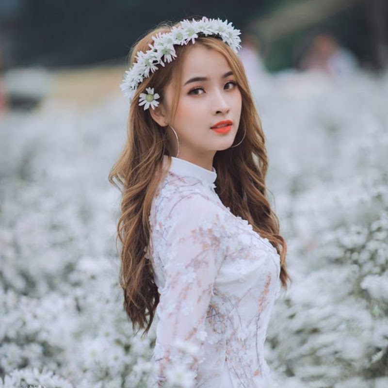 Kho Nhạc Hay