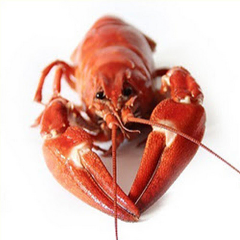 Денис Билык Logo