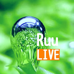 Ruufam.【水景夜行倶楽部】