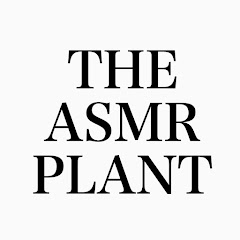 THE ASMR PLANT Avatar