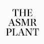 THE ASMR PLANT