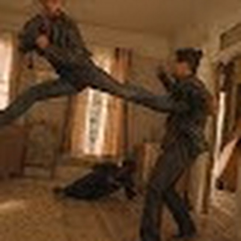 Maz Fights