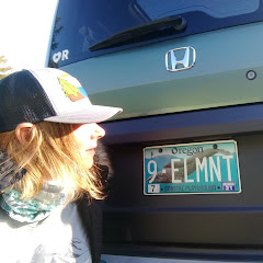 Ninth Element net worth