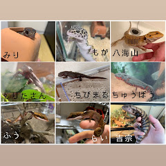 旧あーたぺはちゅちゃんねる