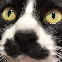 オオハシMM