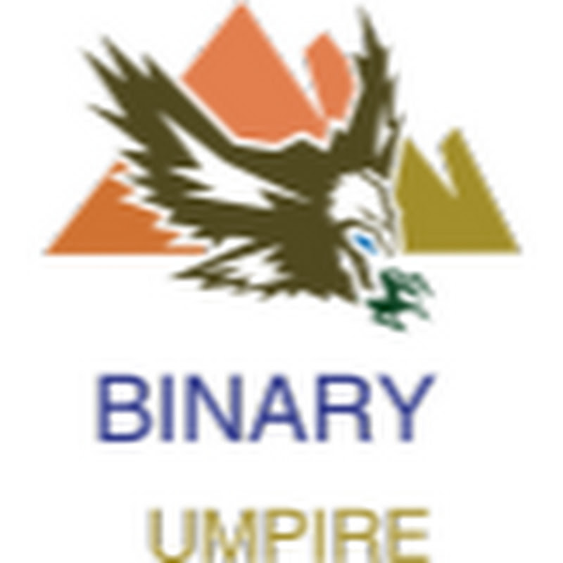 Binary Umpire