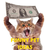 Funny Pet Ideas