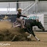 sp1cSa_j1K4-channel-avatar-Ash Performance Horses