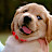 @joonyeongahn1