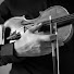 do1encCa5TU-channel-avatar-magicfiddle