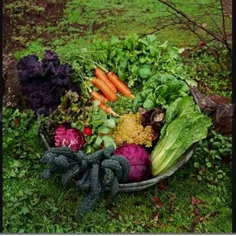 Gospelgardener777