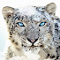 J6T6goG-pEE-channel-avatar-Andrew S.