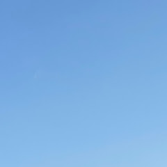 社会貢献アイコン画像