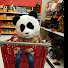 zetEJ3s72T8-channel-avatar-dayana