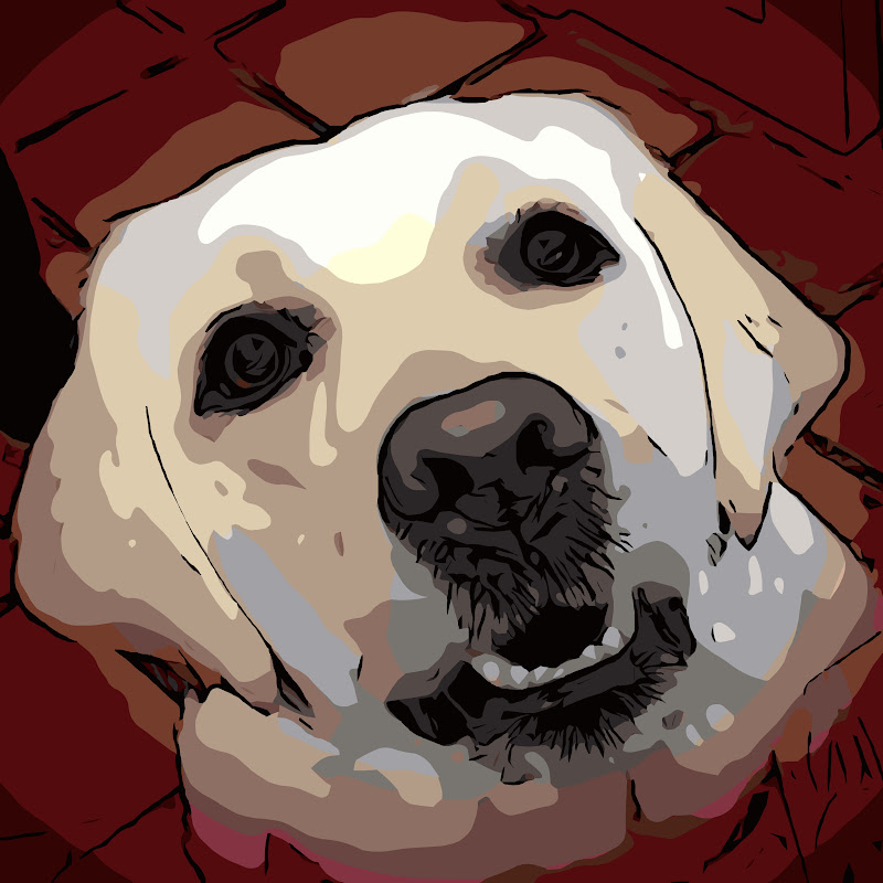 Andie the Lab icon
