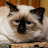 @DJCENTIF1 Avatar