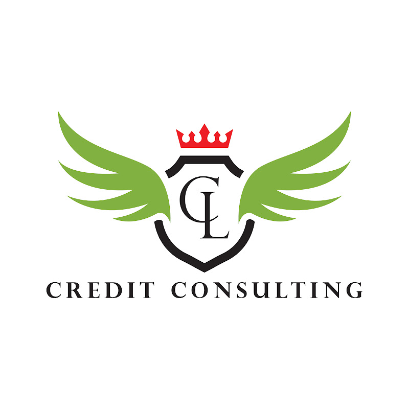 CL CREDIT CONSULTING INC