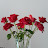 @user-zt7mu9oo3w