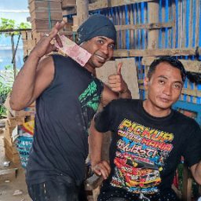bos gaul