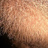 ixYbaoBtxkU-channel-avatar-hoso787