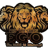 Pro Wrestling EGO