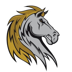 Логотип каналу Saugerties Stallions