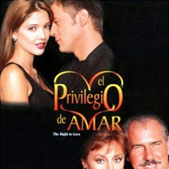 El Privilegio de Amar