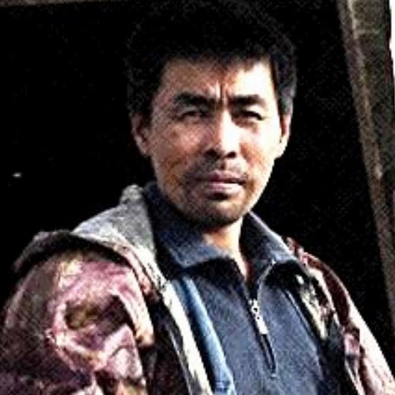 Владимир Пуя Logo