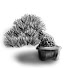 bstEtjr0EI4-channel-avatar-盆栽チャンネル_Bonsai channel