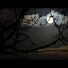 ph2SxfwvSJ4-channel-avatar-JEJ0907