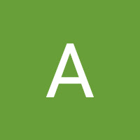 Agatha Morphy profile image