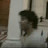 @xmaxbabilo Avatar