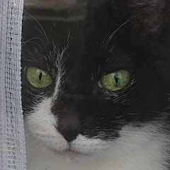 キョンの実況チャンネル