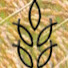 4izmRcYtk-M-channel-avatar-豐收華夏基督教會
