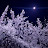 @바삭바삭-r5u