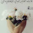 @السيدنجيب-ح9خ