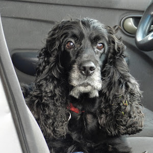 Kle621full YouTube channel image