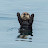 @EnriqueTinkerings's avatar