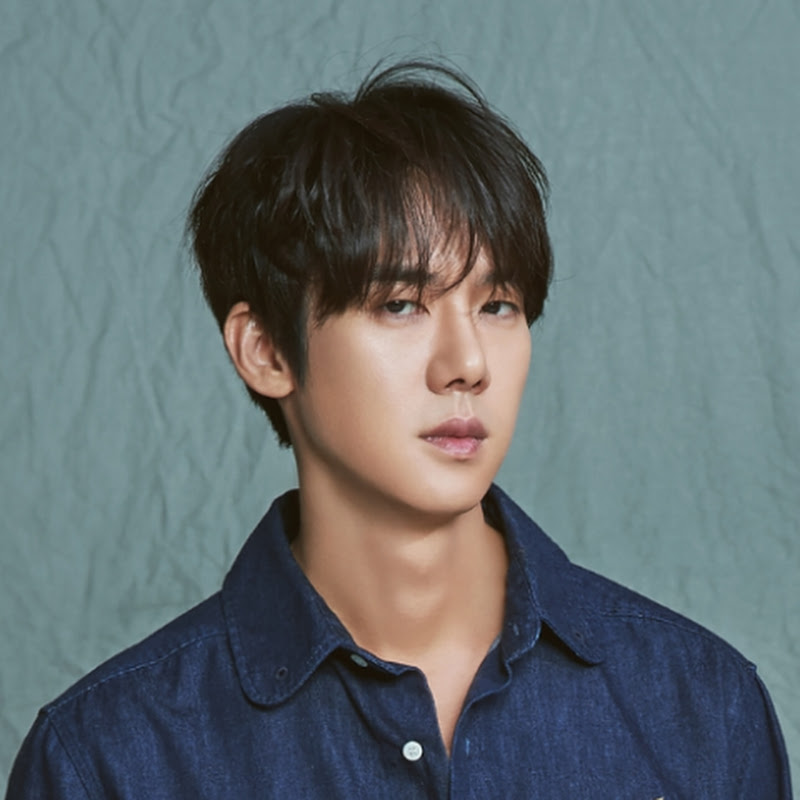 Yoo Yeon Seok Indonesia
