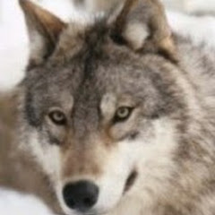 Thumbnail of related channel