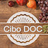 YuLZ9dXyy-E-channel-avatar-CiboDOC
