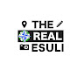 The real Esuli logo