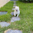 @이진희-k9u