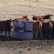 Cattle Systems by LS