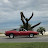 Avatar photo