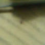 Miniature